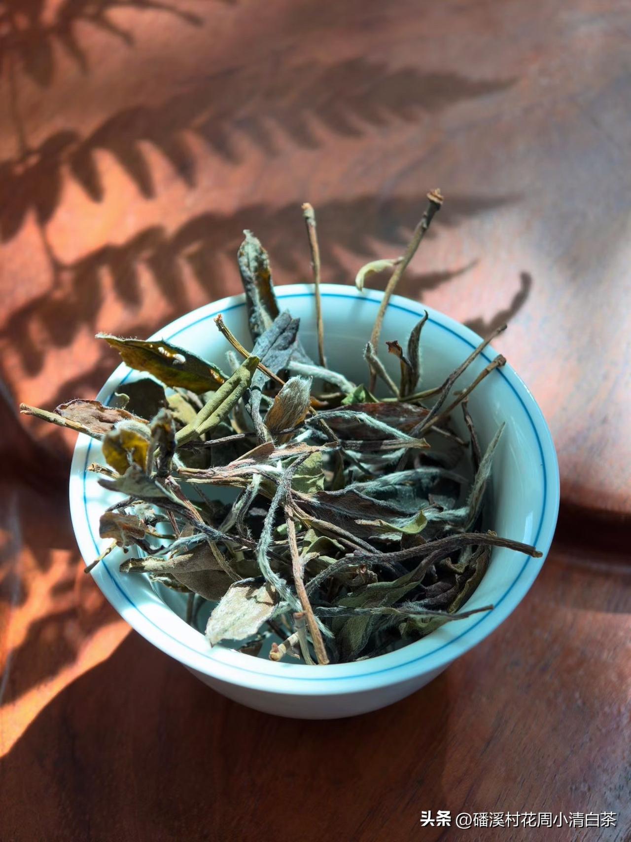 这款高山白牡丹，是日光萎凋的好料子。
你看这干茶，芽带白毫，叶态自然，色彩丰富。