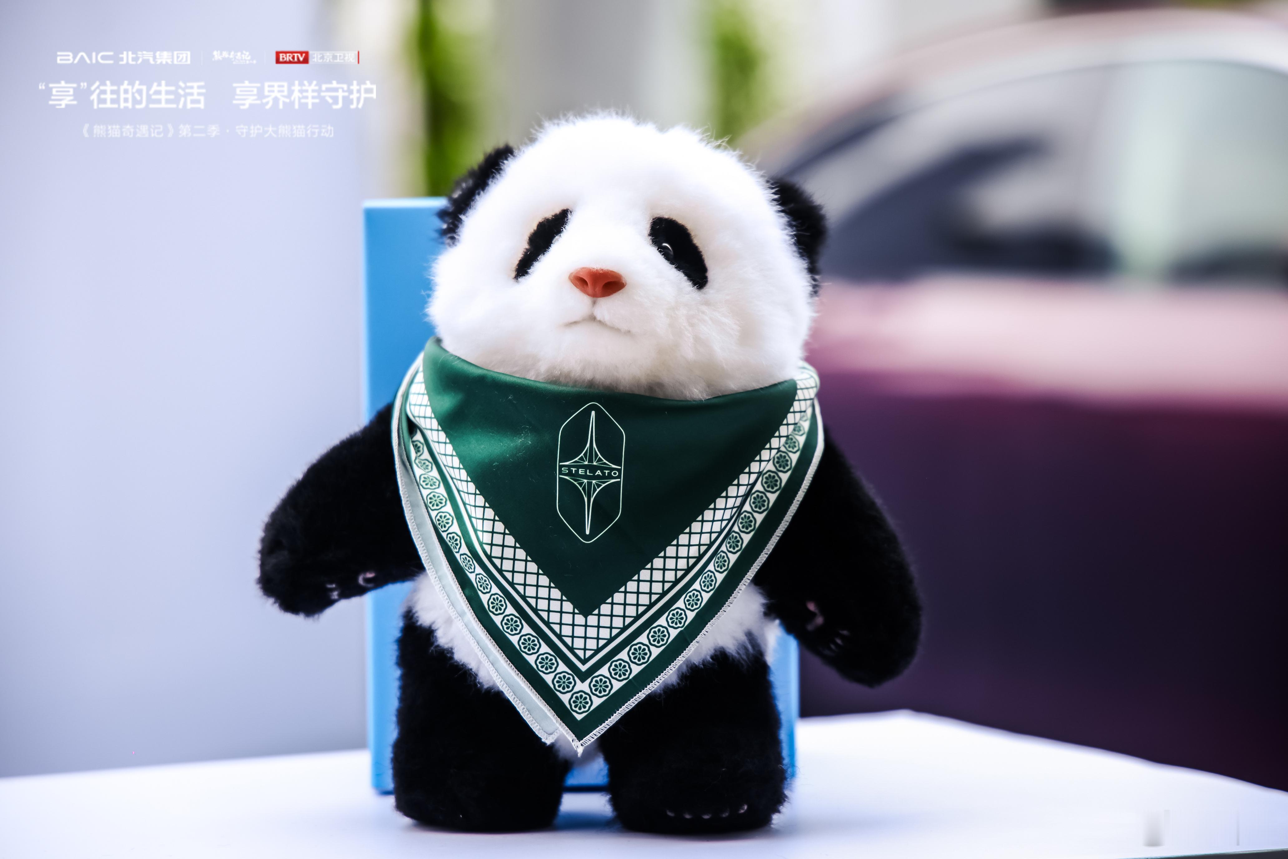 旅日大熊猫回国了   欢迎晓晓蕾蕾回家，想起之前北汽把享界S9T开到熊猫保护基地