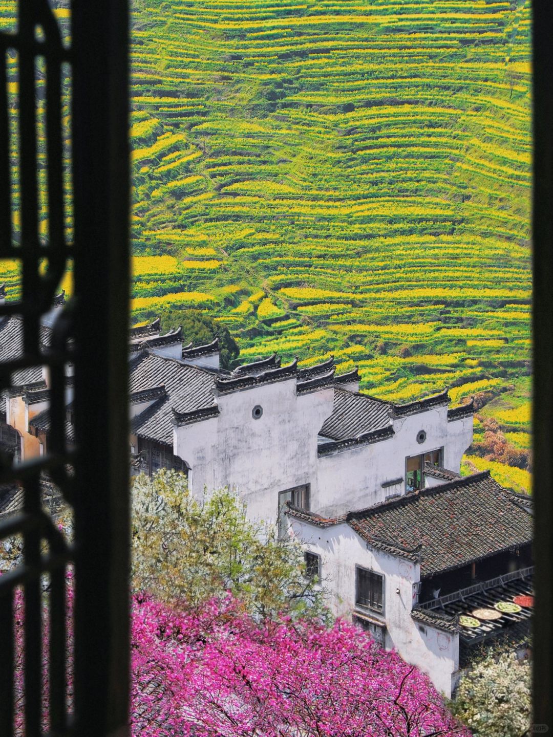 被《国家地理》 评为中国最美古村🍃春天好绝