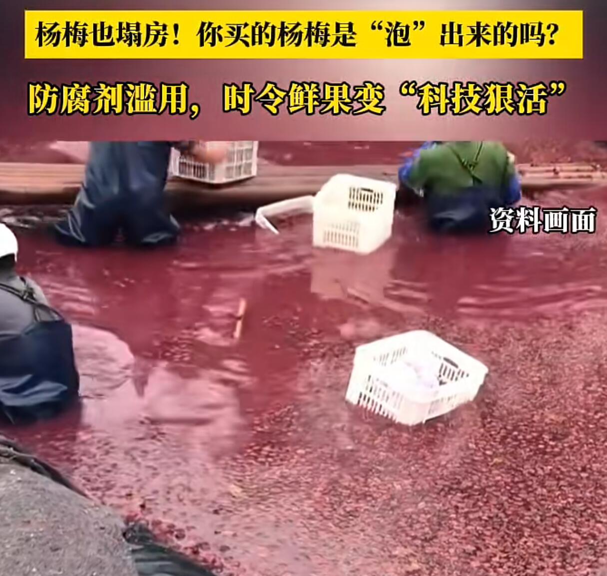 杨梅泡药事件冲击浙江杨梅市场用8000倍甜度三无添加剂浸泡杨梅，还违规添加脱氢乙