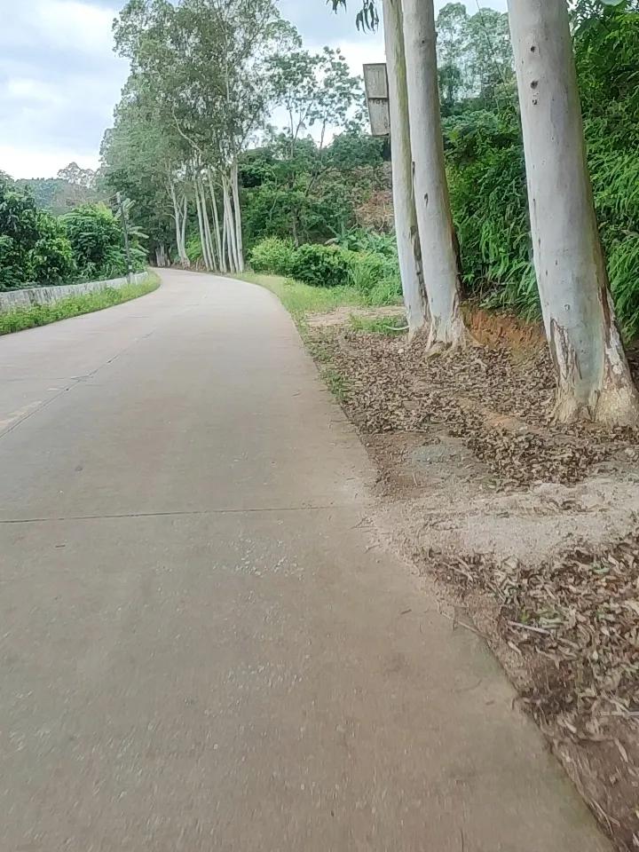 上周回了趟浙北乡下老家，沿着村头那条仅容两车错身的小路晃了半小时，随手拍的九张图