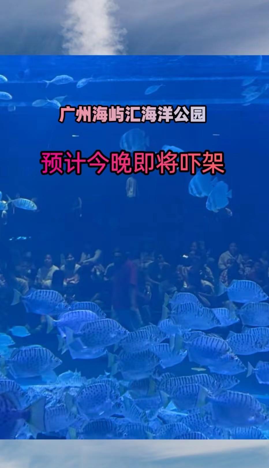 广州海屿汇海洋公园 海洋馆打卡 海洋馆一日游 亲子遛娃圣地 快乐就这么简单