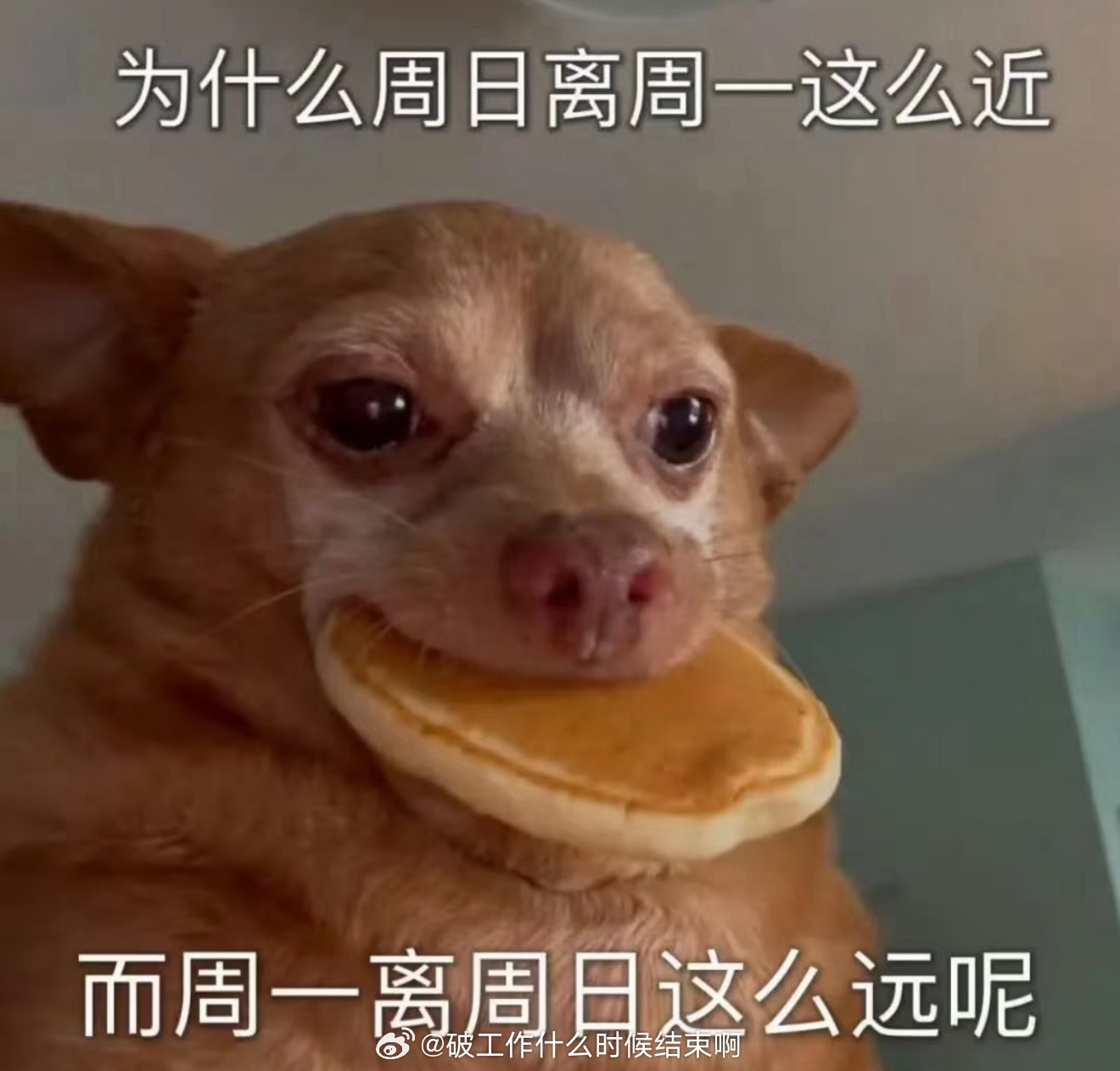 不想上班  怎么一到周一上班就下雨啊