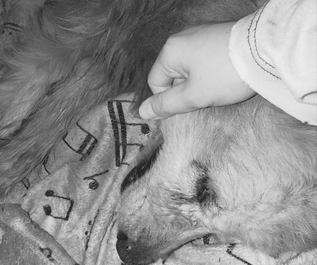 邝玲玲爱犬离世 邝玲玲的爱犬“豆腐”去汪星了…原来再厉害的女明星 也会因为毛孩子