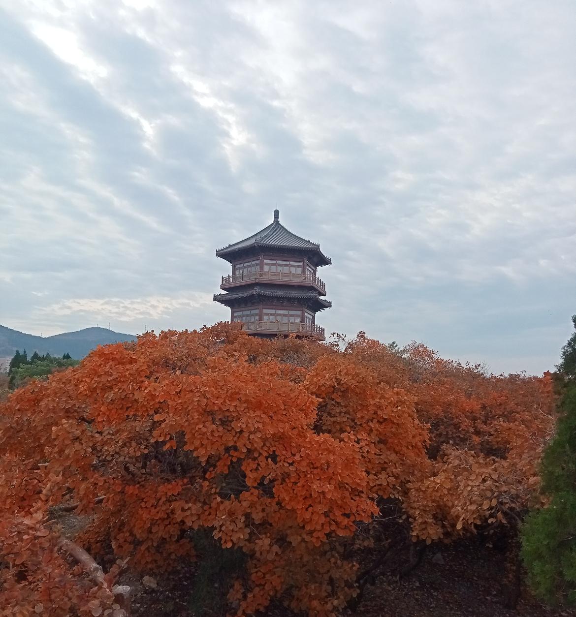 分享一张秋景树叶的的照片 秋天风景照