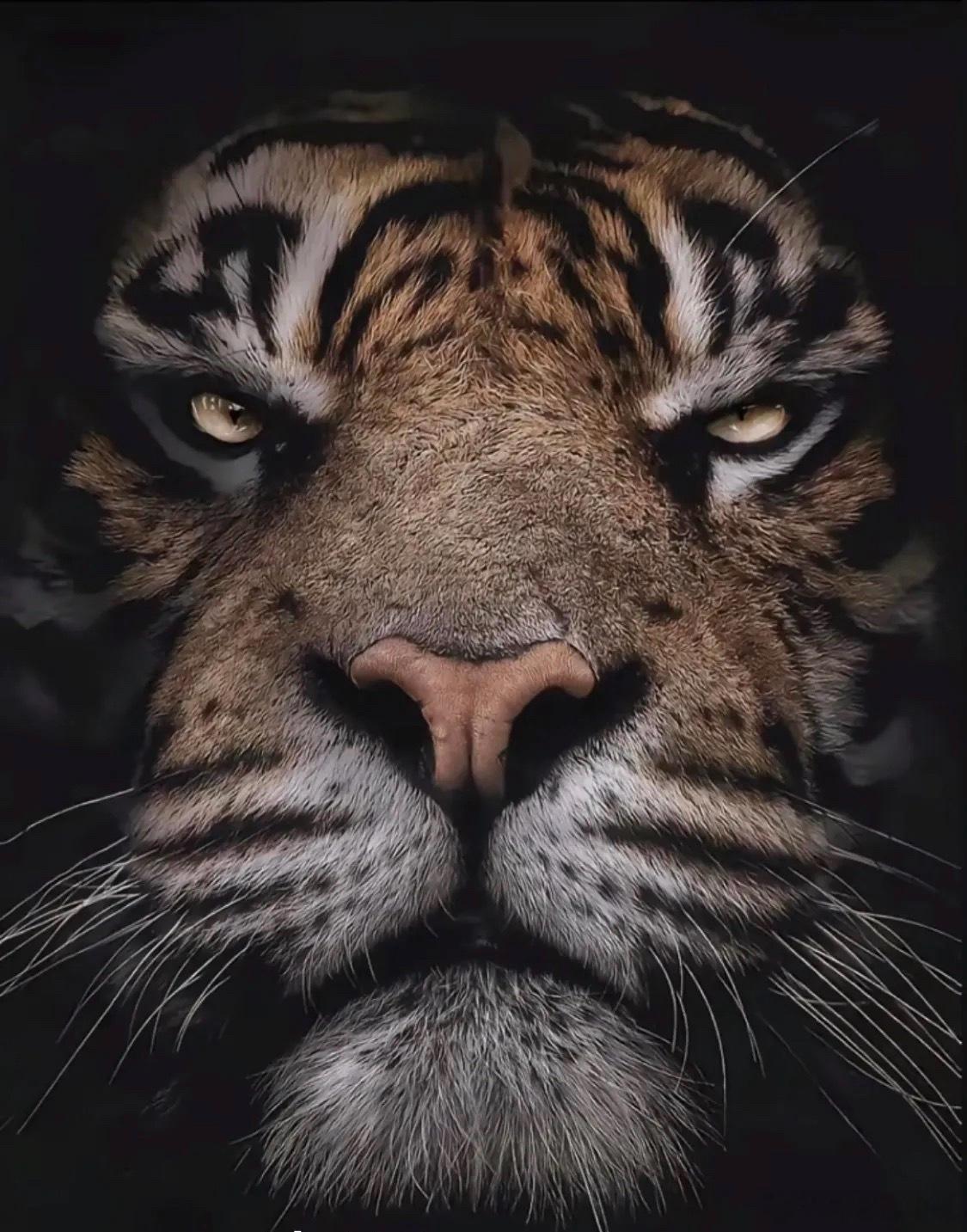 挡在你面前的只有你自己 襄阳·犀牛二手车