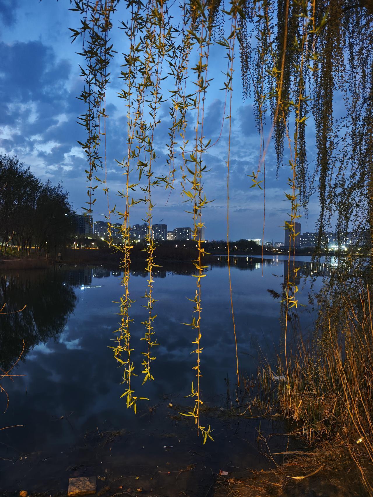 夜晚，何为最美的风景？安静的湖泊，无风，垂下的柳条，新叶嫩芽，远处楼体及灯光的倒