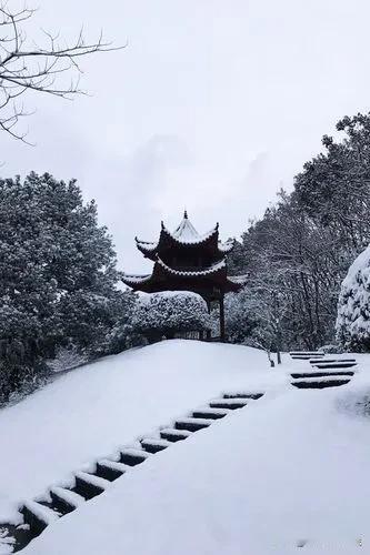 银装裹太平，
风过鸟无声。
踏雪寻梅去，
游园笑语轻。

——作诗赠给江苏好友“