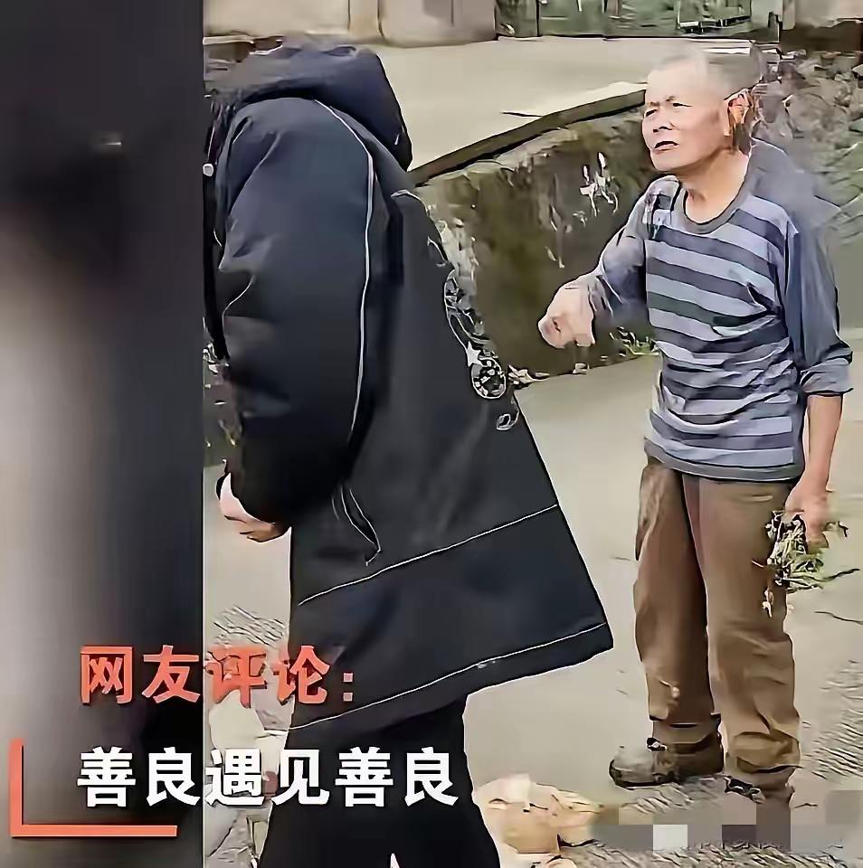 “太感人了！”重庆，一位年轻人下乡办事，不慎将一只鸡压死！可他做梦都没想到，接下