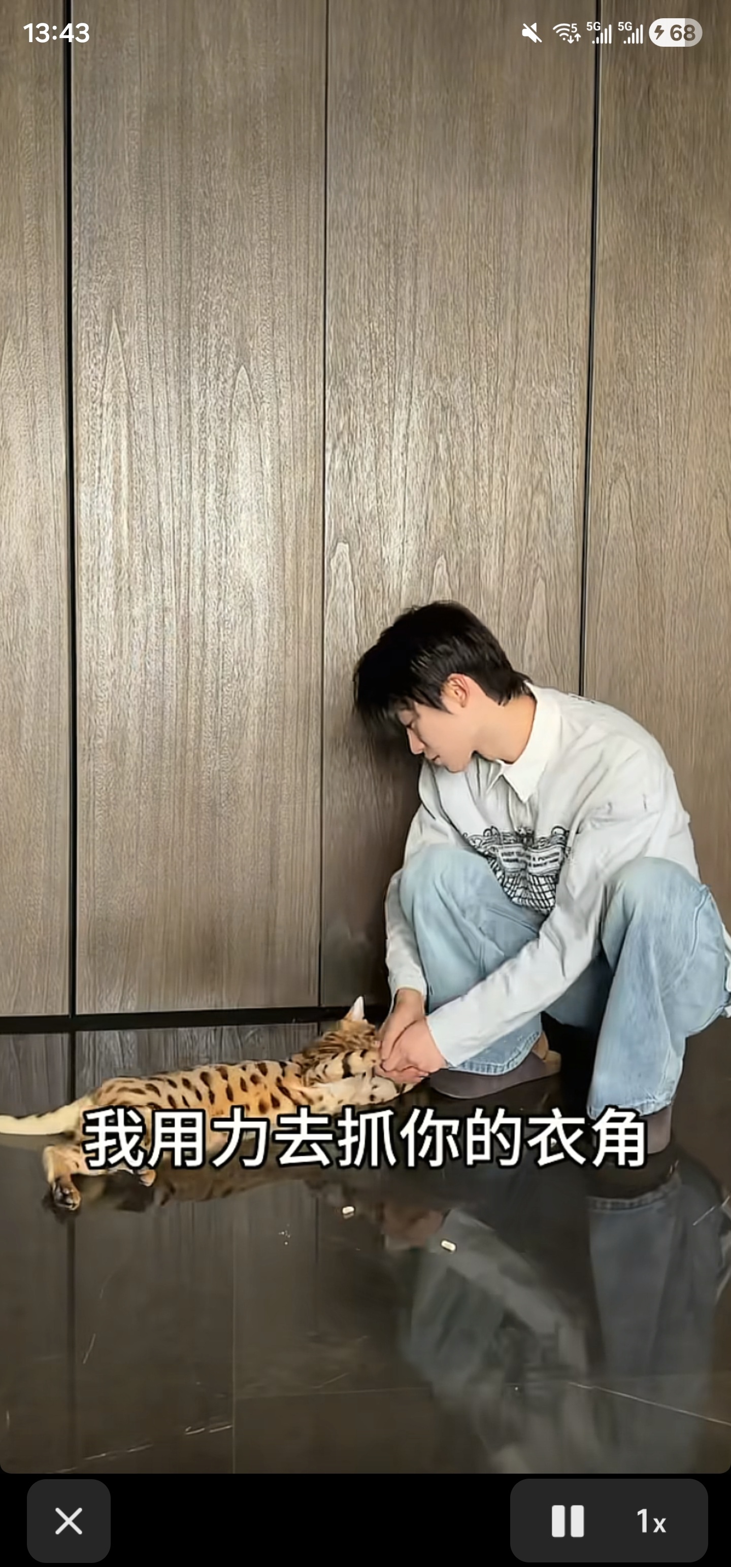 我家小十一被雪藏了 