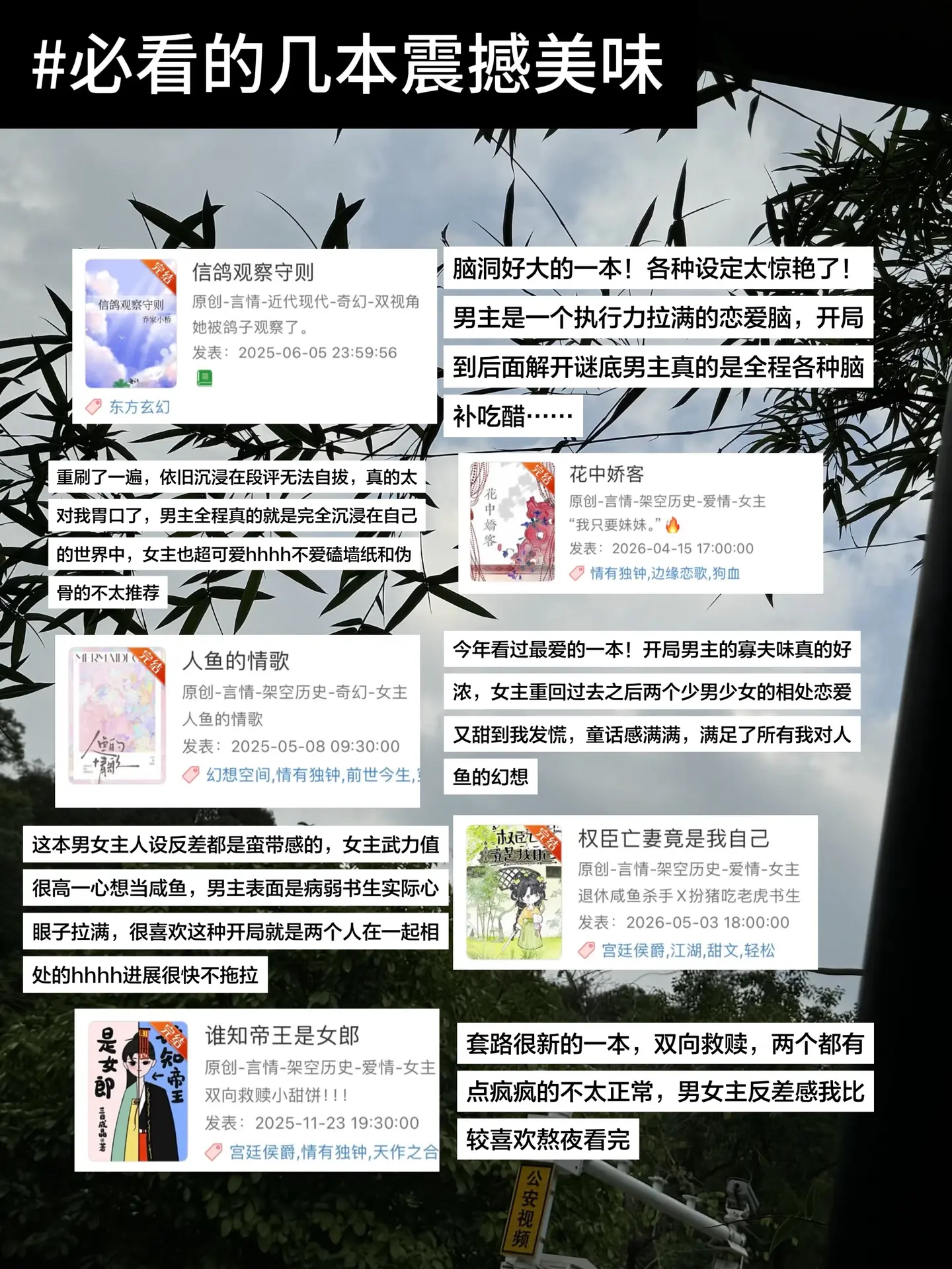 很推荐的几本