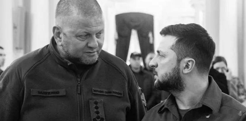 扎卢日内向泽连斯基发起 反攻
弗拉基米尔・泽连斯基一直期待又害怕的事情终于发生了