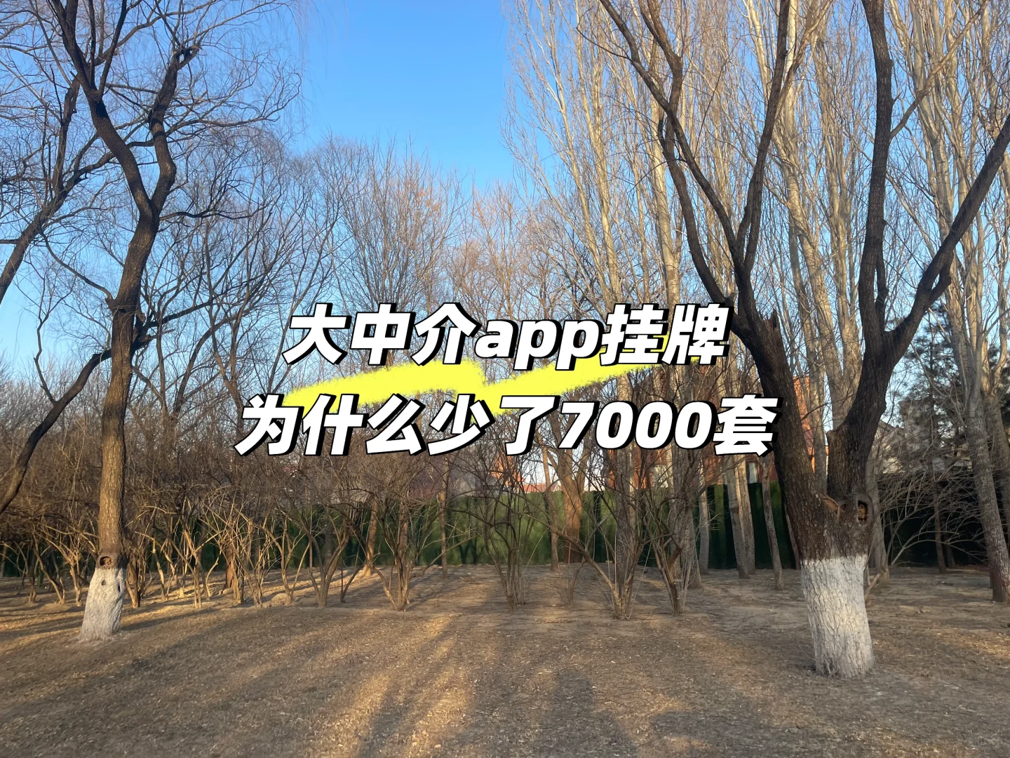 大中介app挂牌房源为什么少了7000套？