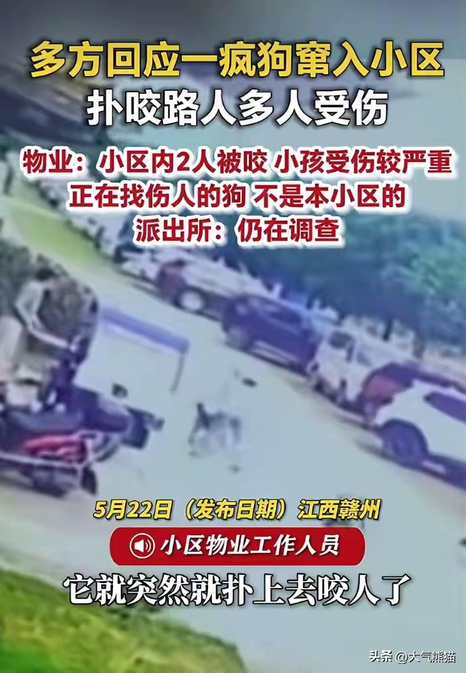 江西赣州一条疯狗窜入小区扑咬路人，造成包括儿童在内的多人被咬伤。
但由于没有找到