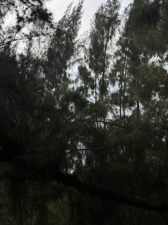 想结婚了 又有点怕