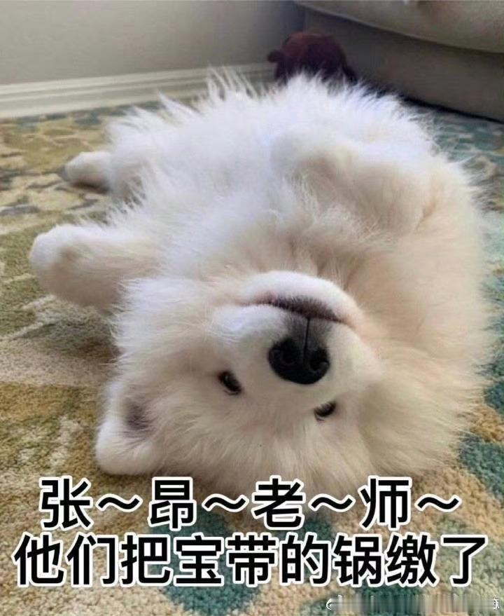 龚太的锅