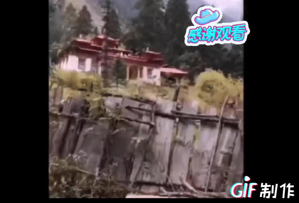 王相军生前在西藏无人区密林深处就拍到过一个面积不小的寺庙，说这么隐蔽的地方几乎就