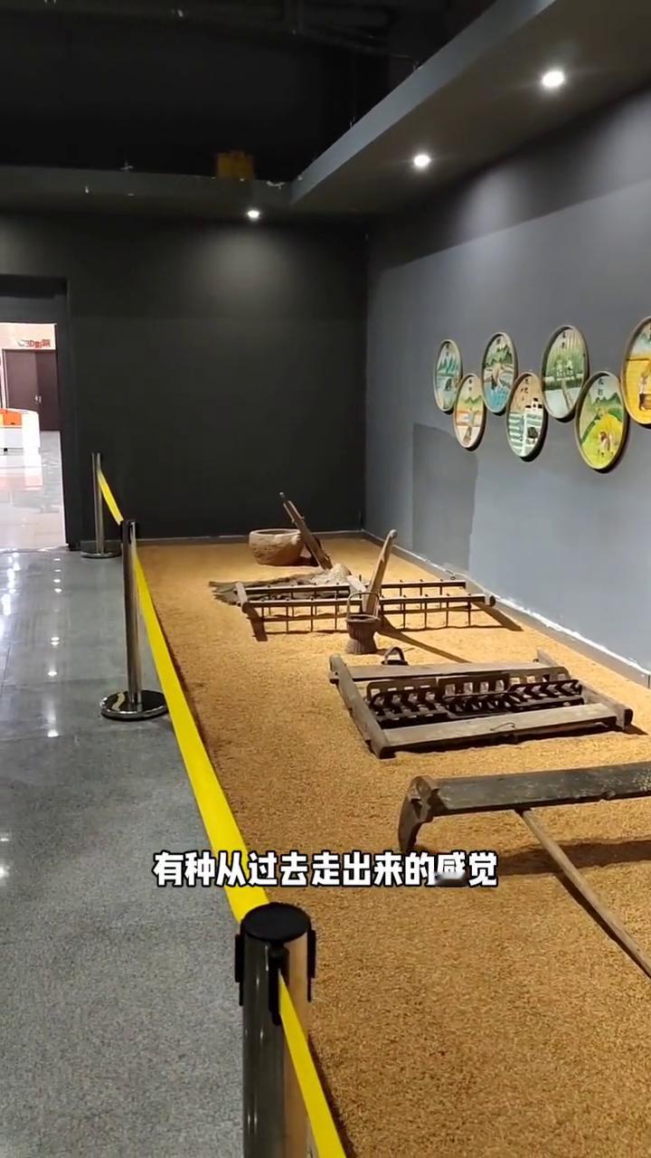 考古人员是如何区分野生稻植灰石和栽培稻植灰石？野生稻植灰石是原生态的品种，现在不