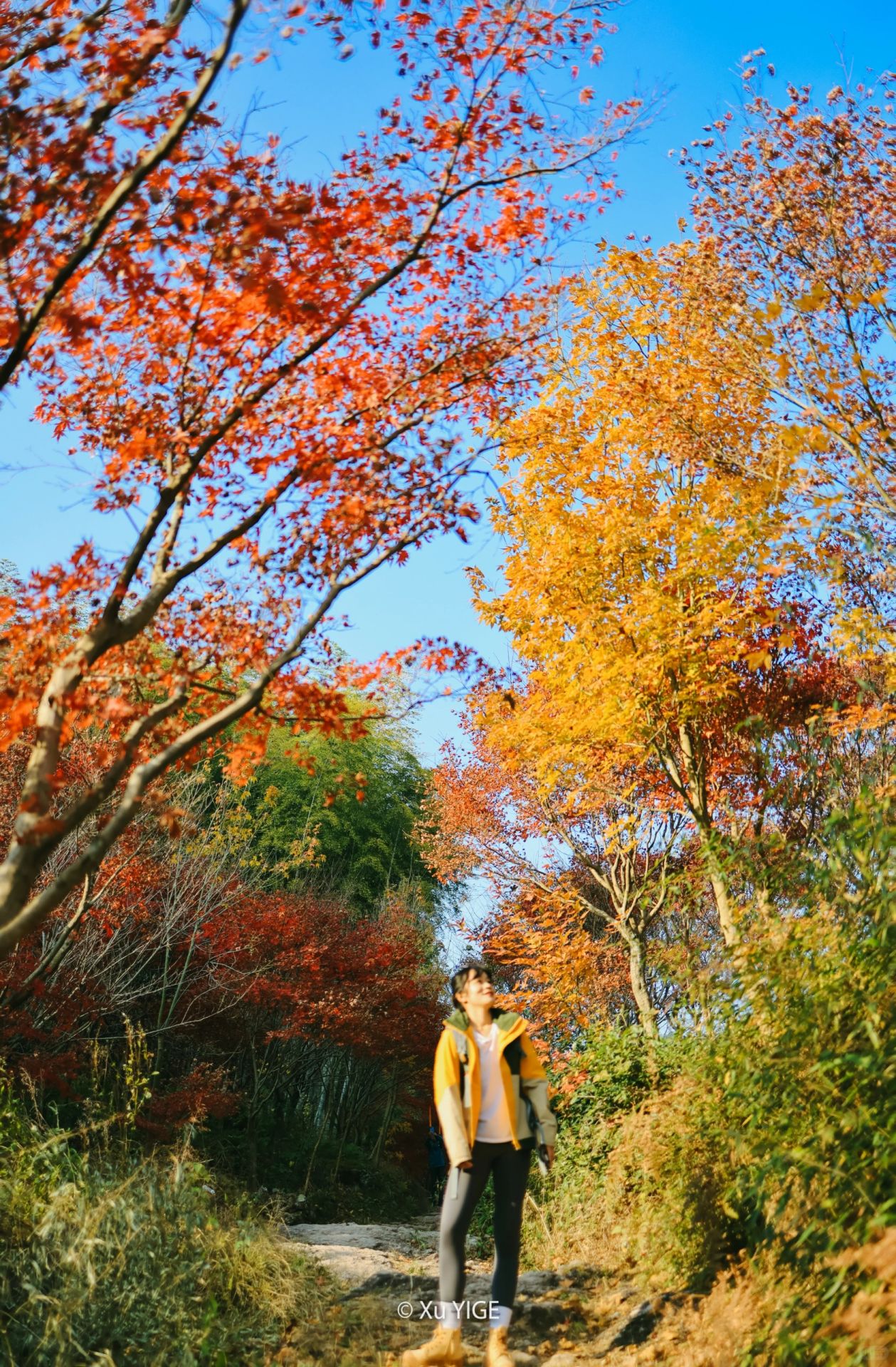 赏秋徒步｜立刻冲向五彩斑斓的山系美景！