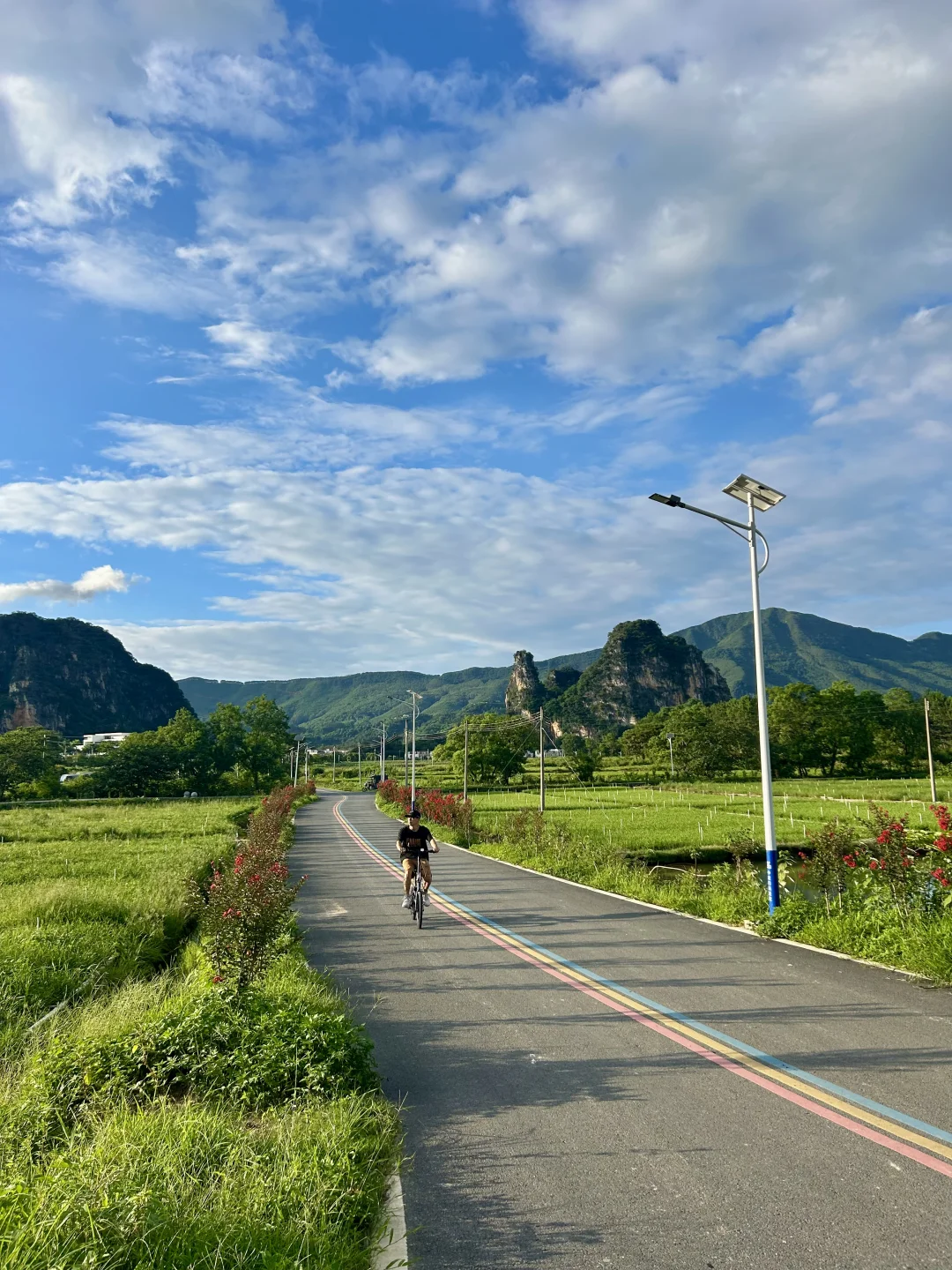 🍃救命！这条小路也太治愈了吧