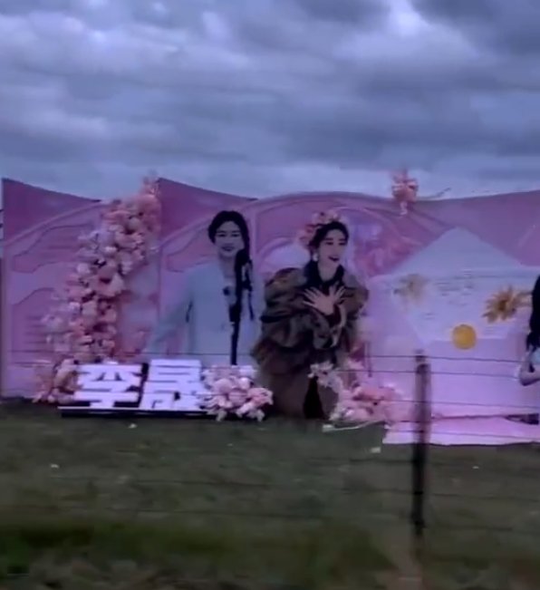 乘风2025总决赛应援宝子们速来！呼伦贝尔草原的应援花路美到失语，姐姐们的魅力真
