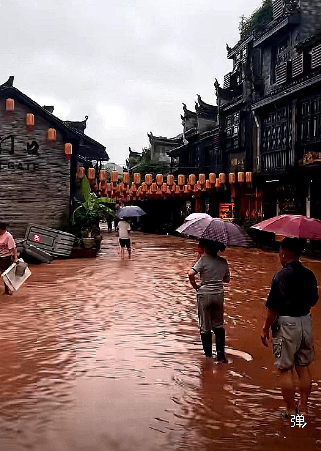 水中端午，赶紧离开 