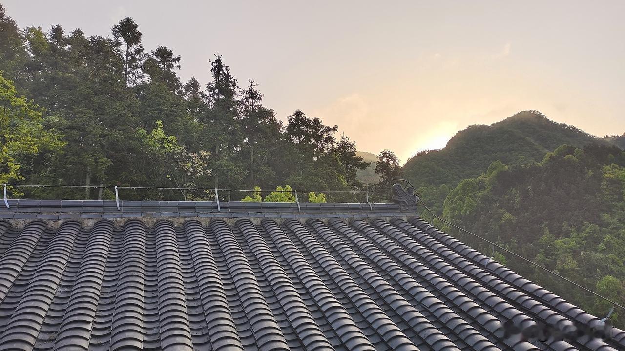 去年冬天，在安徽岳西的大山里小住，满眼的苍茫。此次，昨天晚上到的，今天早上6点多