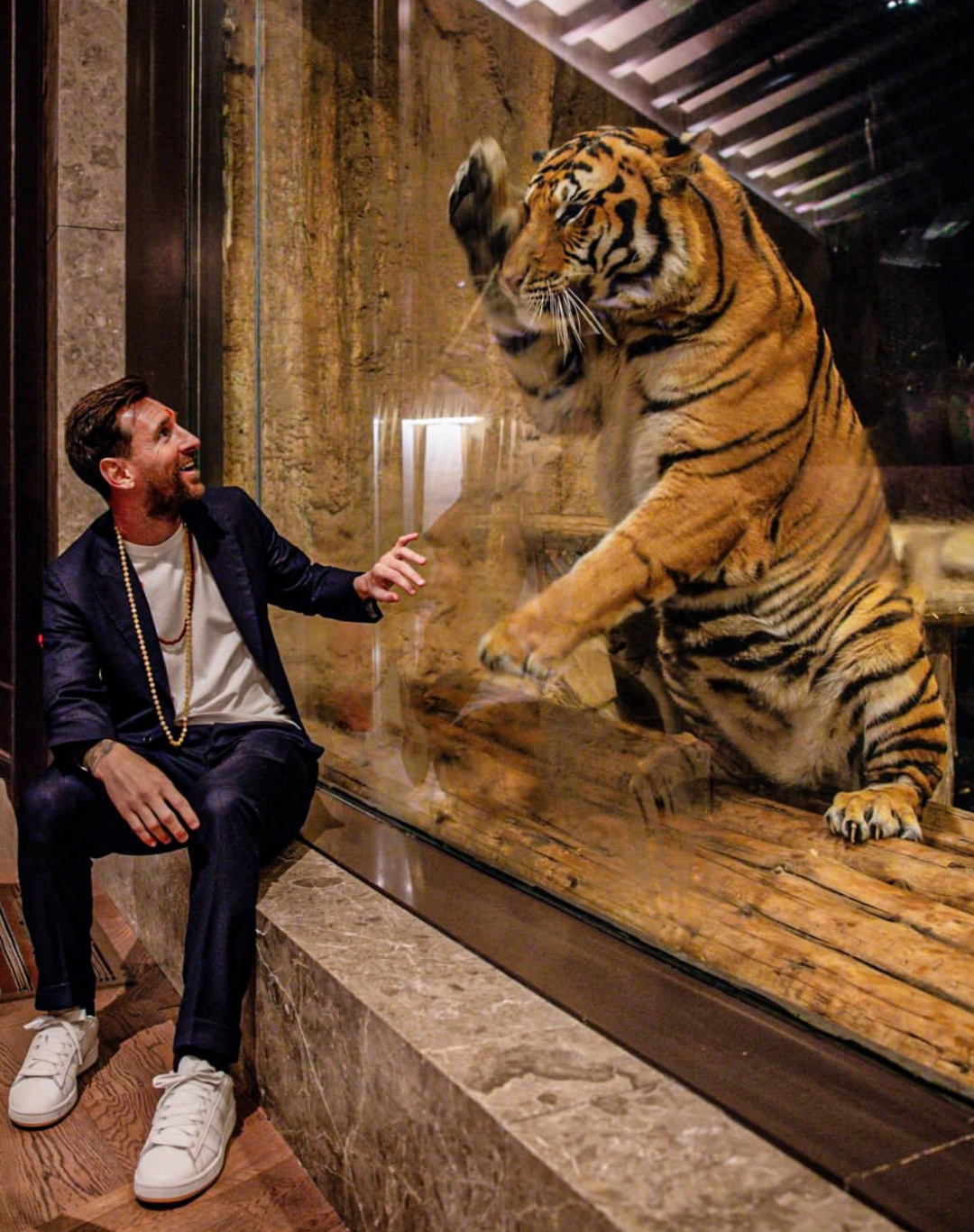 梅西这次还好去看了野生动物，否则印度之行真是一地鸡毛。 