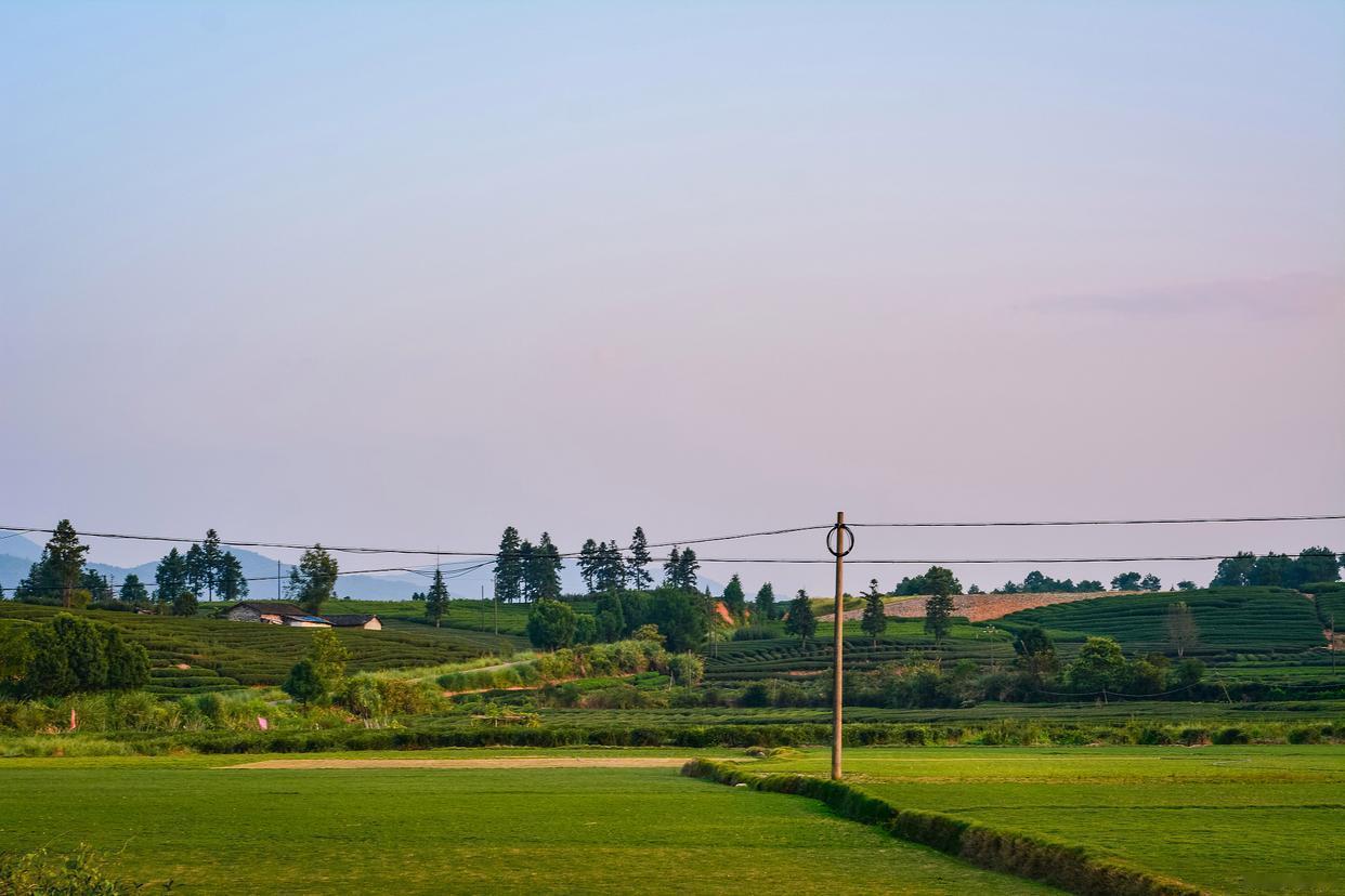 我家老先生是独子，四个姐。有了四个姐，便有了四个姐夫哥。当年在老家，一到种田或收