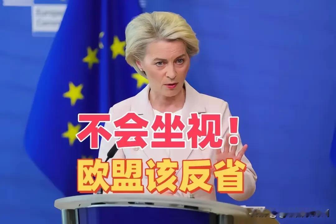 欧盟打错了算盘，中方绝不会坐视不管！对中方出口的电动汽车征收什么反补贴税，这合理
