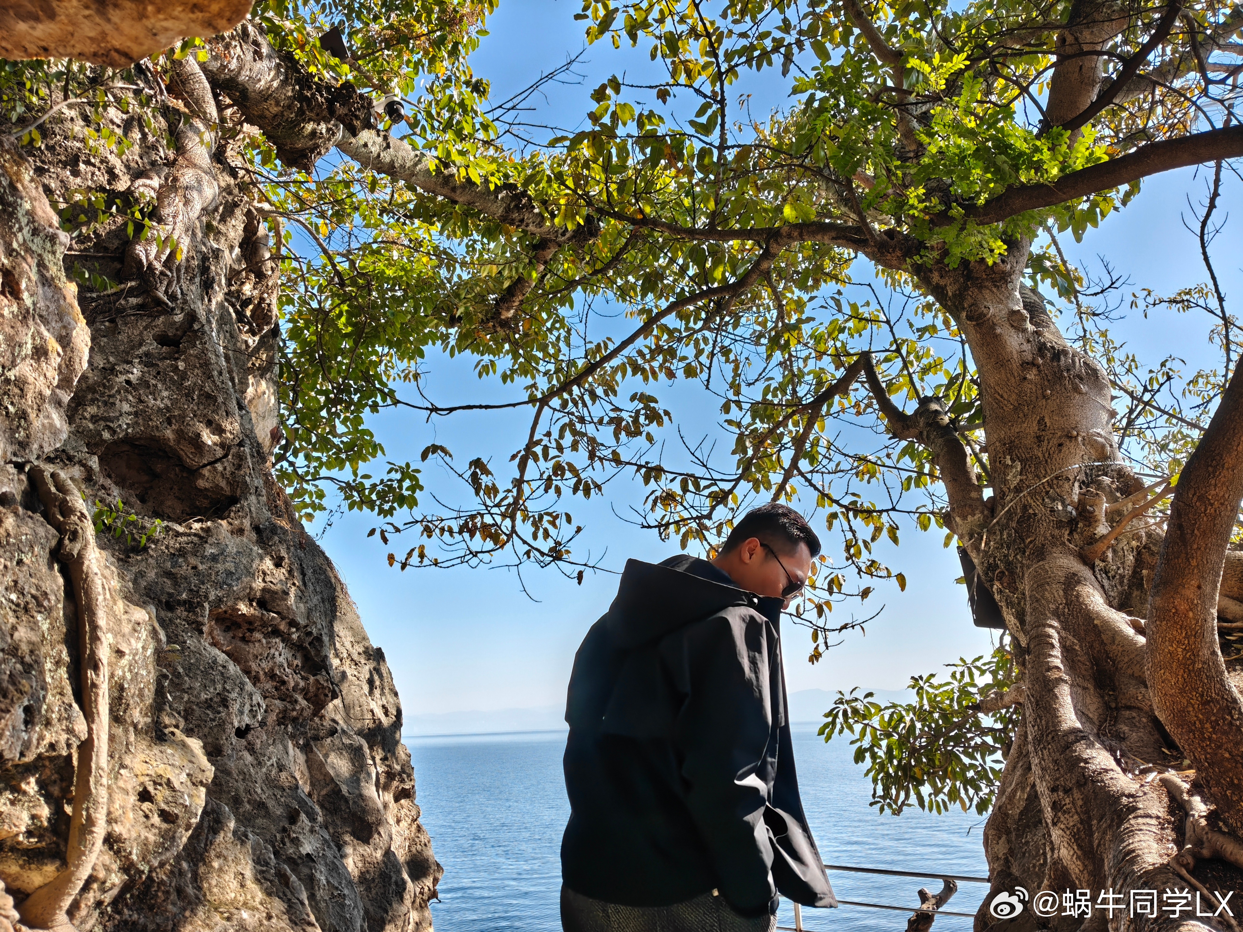 各位朋友，早上好！明天元宵节，2026年已走完六分之一，时间过得真快。接下来会有