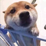 子宸侃侃科技