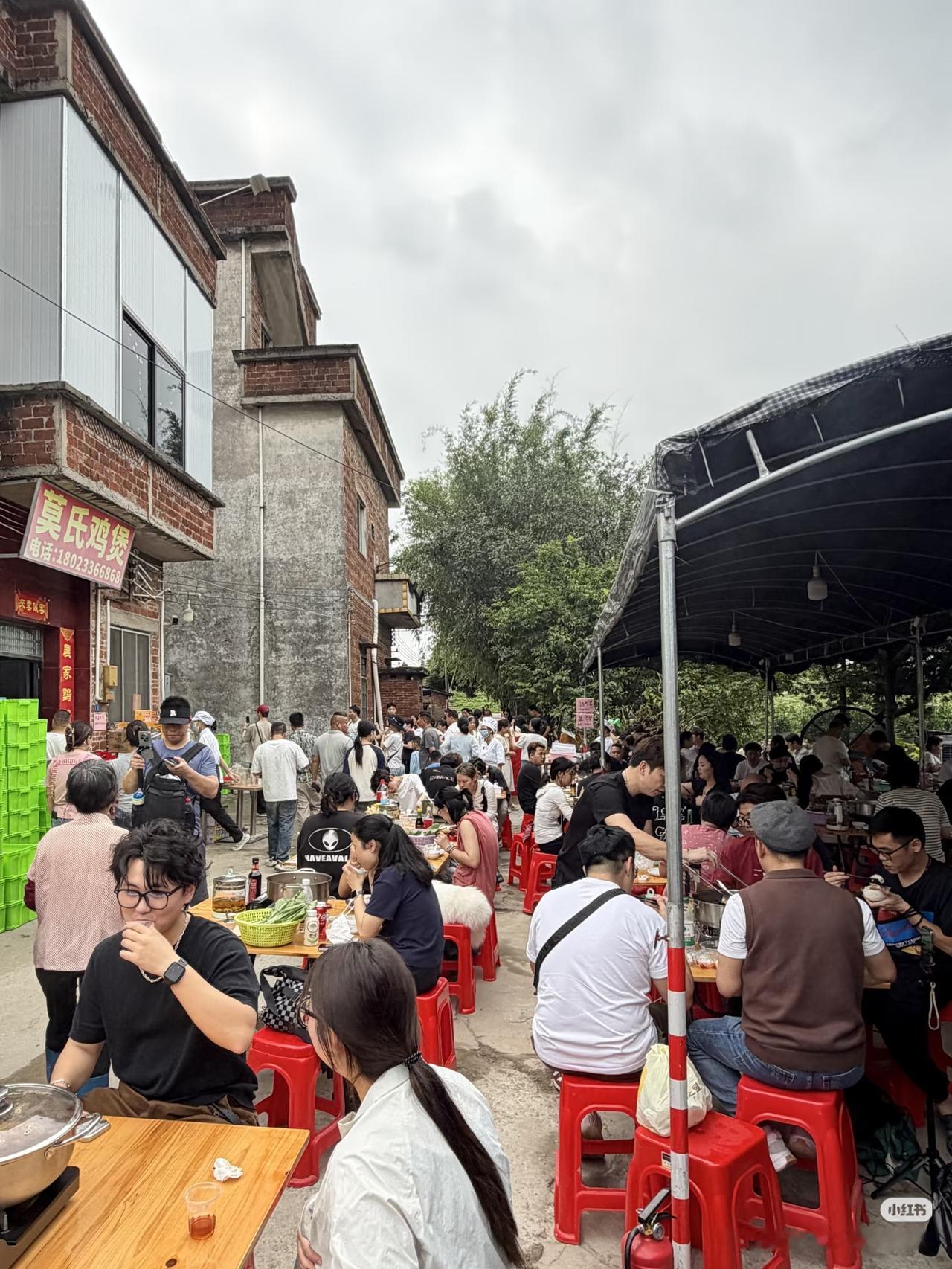 莫氏鸡煲真的一言难尽啊[吐][吐][吐]
佛山排队王鸡煲店终于来了。
饭点座无虚