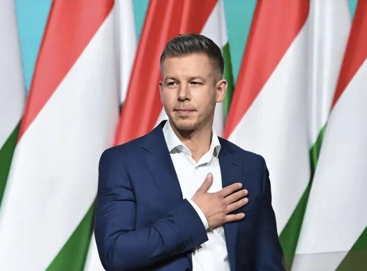 匈牙利政坛新局与中国的理性应对
 
2026年4月12日，毛焦尔·彼得带领蒂萨党