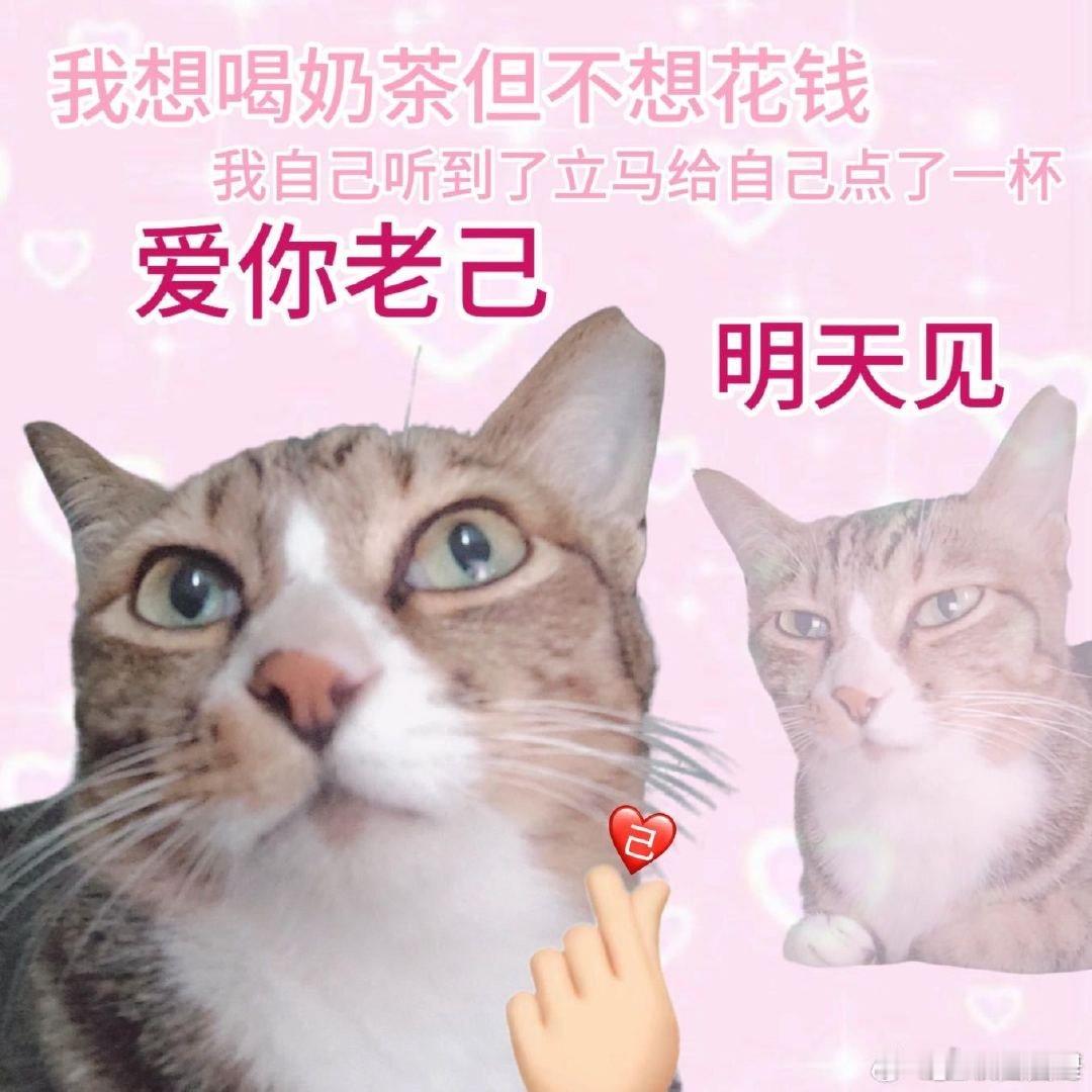 爱你老己周末见打工人休息最高配不赶行程不追忙，闲度时光伴自在，休息到位才有力续航