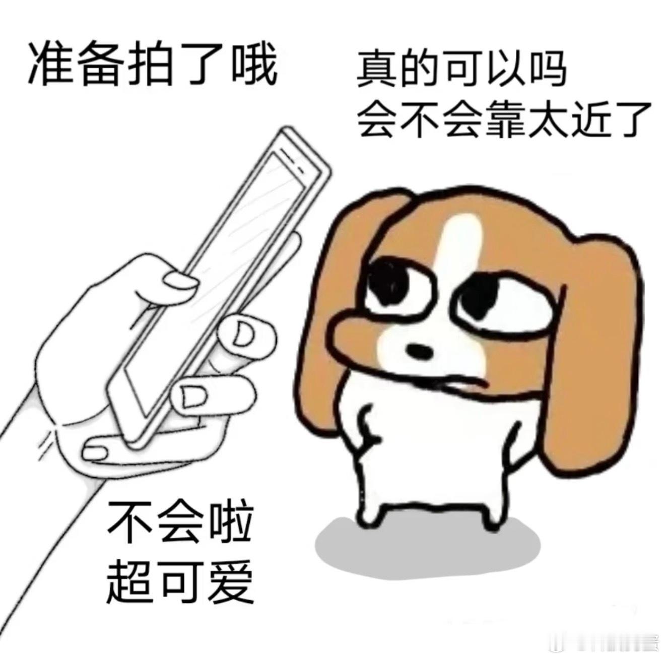 普通人上镜能有多离谱？前置后置拍出来还不一样呢，手机和相机拍出来的对比更是夸张。