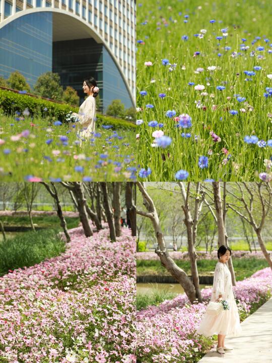 福州花海公园的花花又上新啦！