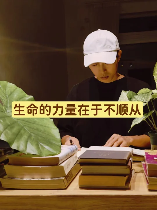 生命的力量在于不顺从
