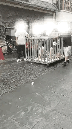 为吸人眼球、博取流量，6月25日，湖南汩罗的何某、龚某等9人，策划编造稀奇故事拍