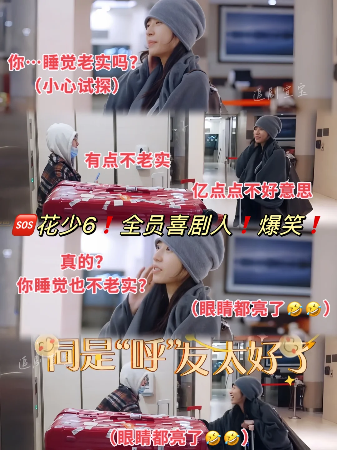 🆘花少6开播❗️全员笨蛋乐子人❗️爆笑