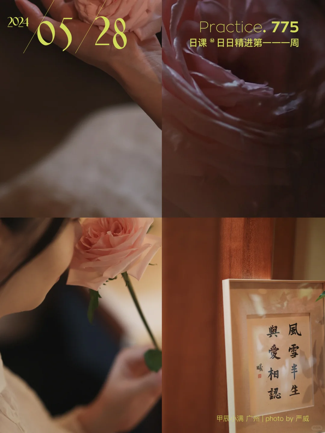 与爱相认，暄桐四阶的会心时刻♥️