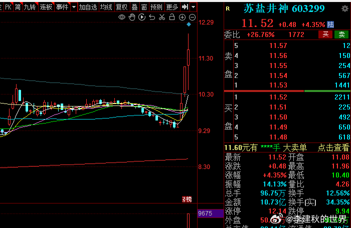 韩国那边在抢盐，中国这边也是各式各样的说法。盐业情况，我也不用说了，下面有图。还
