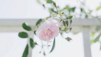 这几个星座，不爱了，会沉默，会离开，但是不会纠缠不清1、双子座：拎得清，感情上比