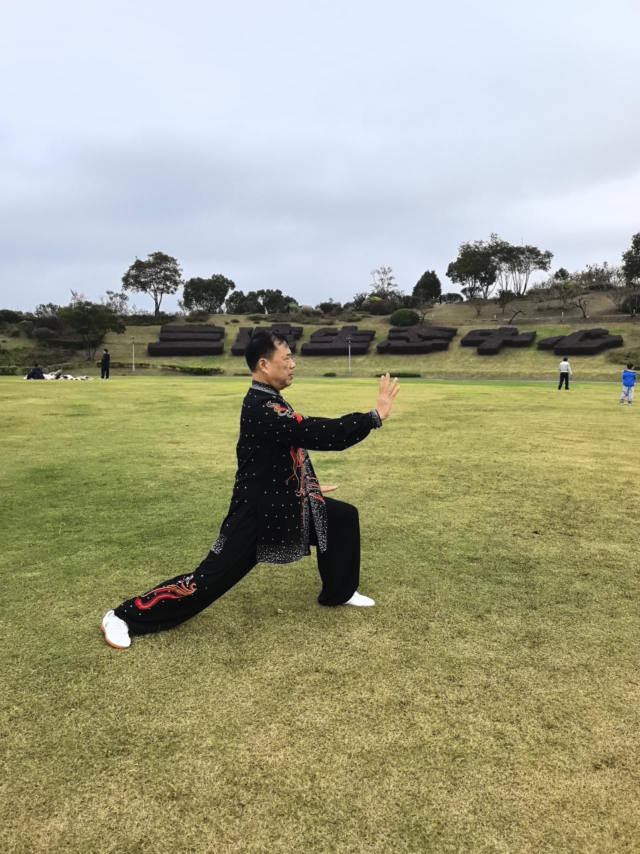 在现代快节奏的生活中，越来越多的人开始追寻一份内心的平静与身体的健康。而陈式太极