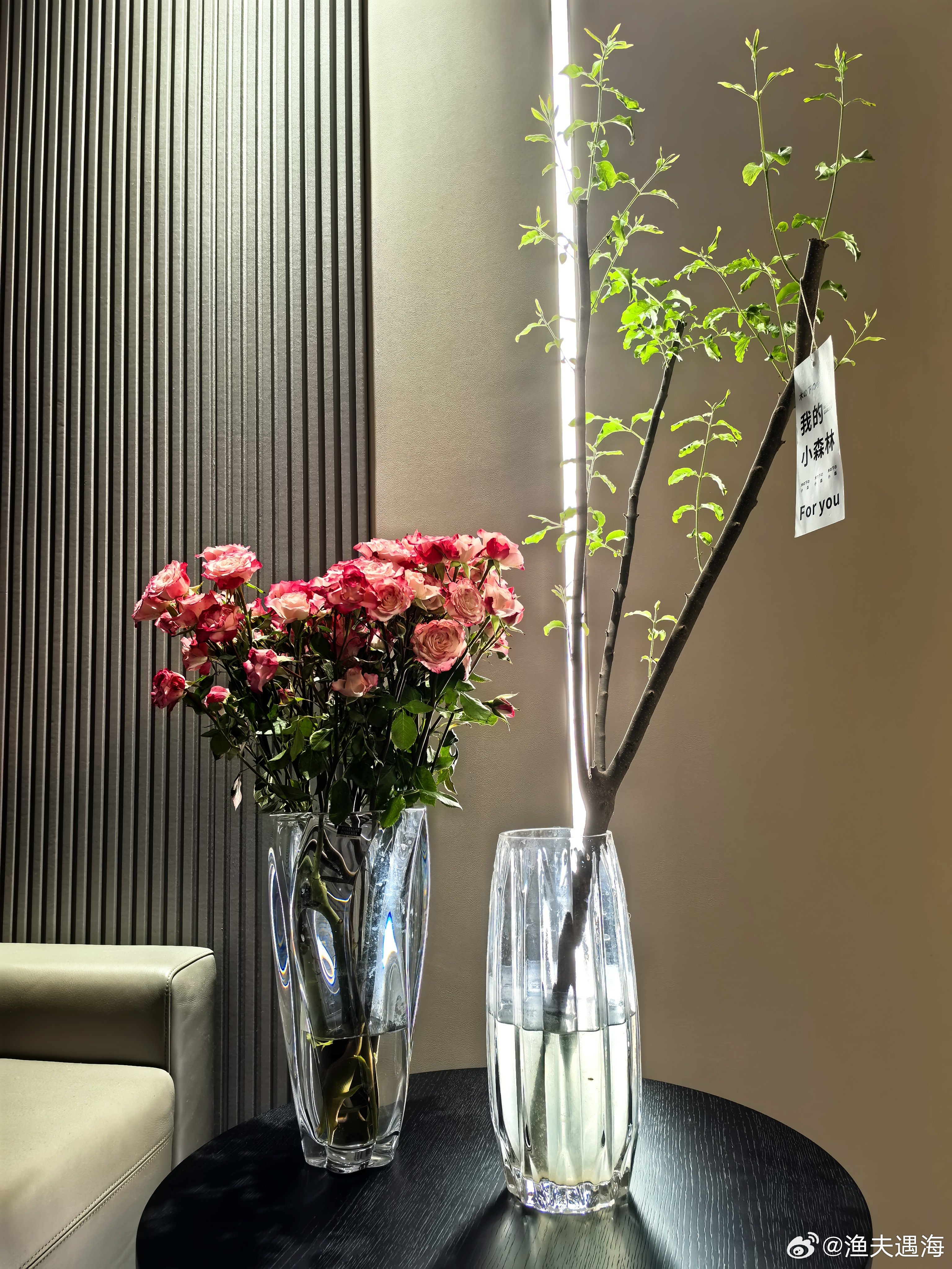 新壁纸  早安！ 