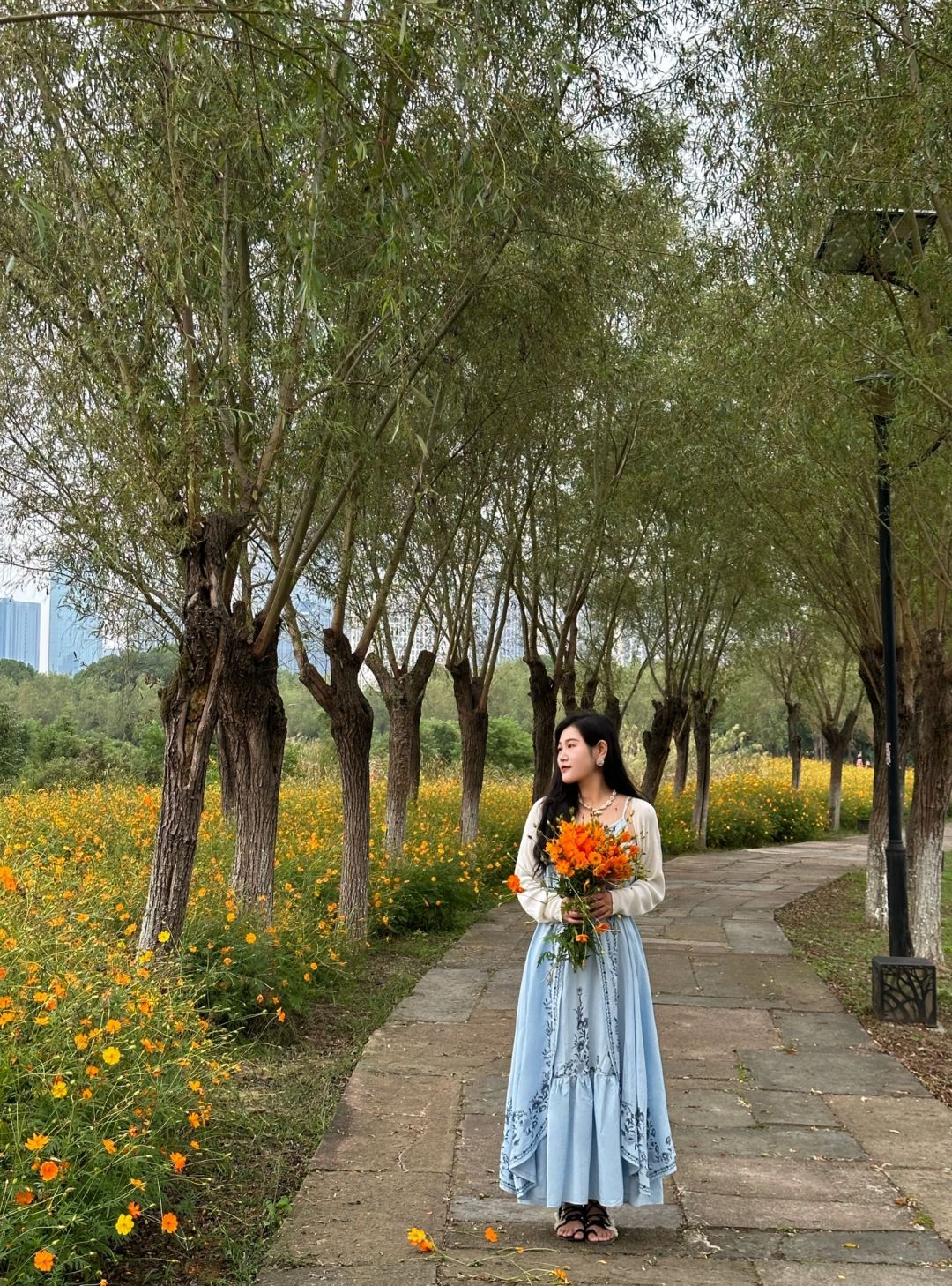 南昌无人知晓的橙色花海🌼闯入莫奈花园🎨
