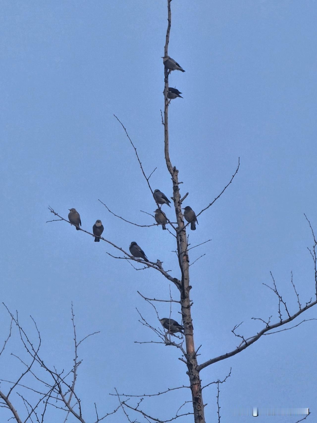 经常生气会生病，
究竟可有科学性。
经常生病能咋弄，
强装笑颜神经病。

该哭哭