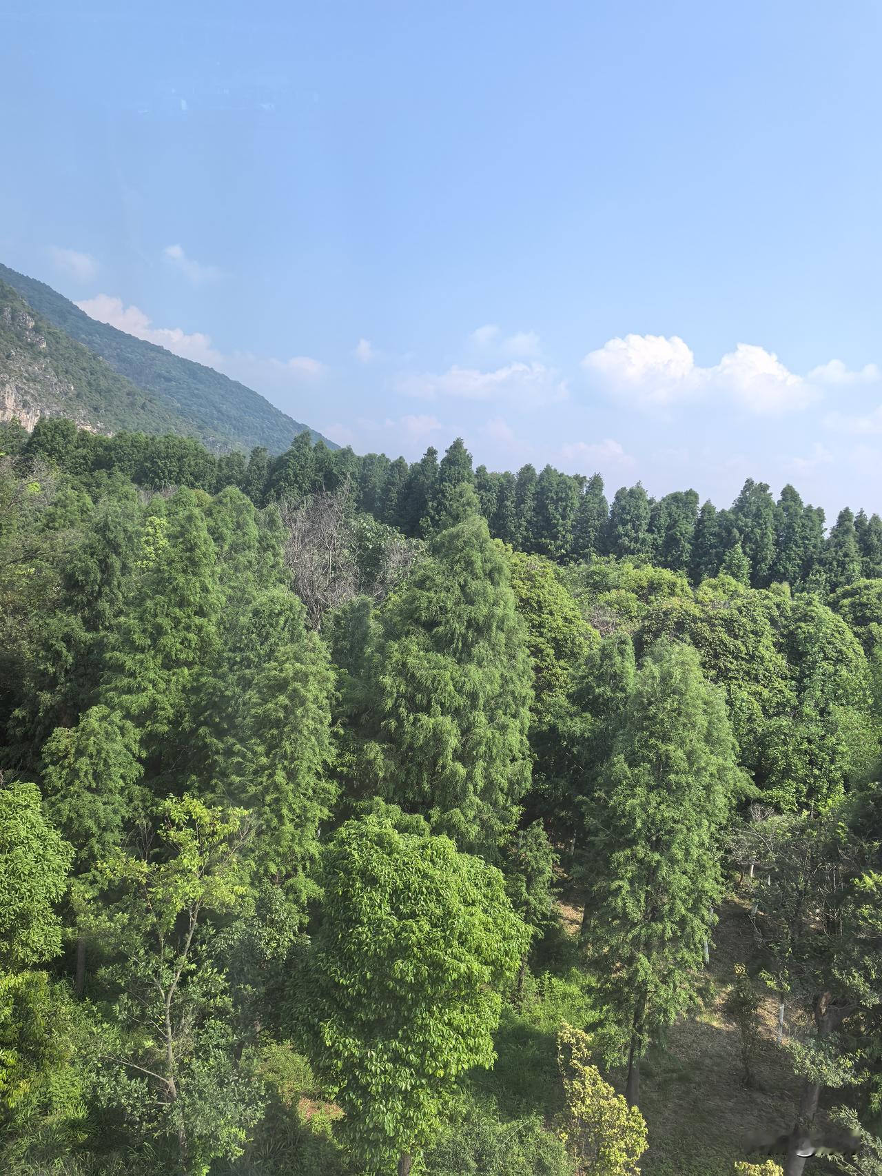 有些靠近，本身就是消耗。