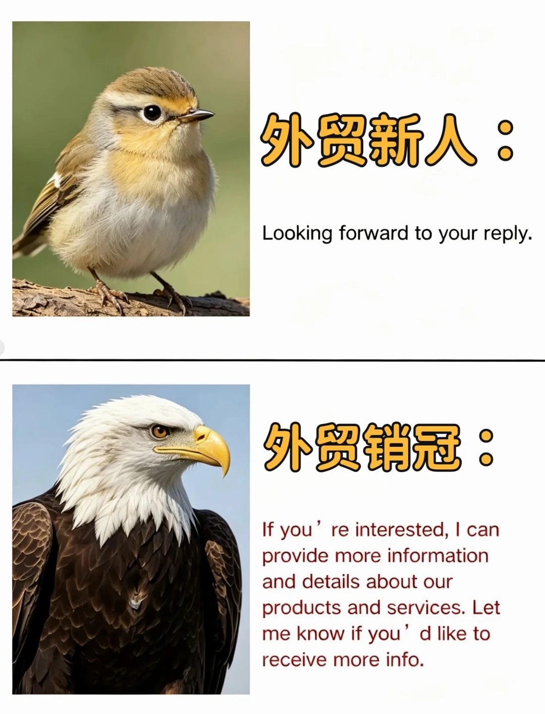 外贸销冠的英文话术