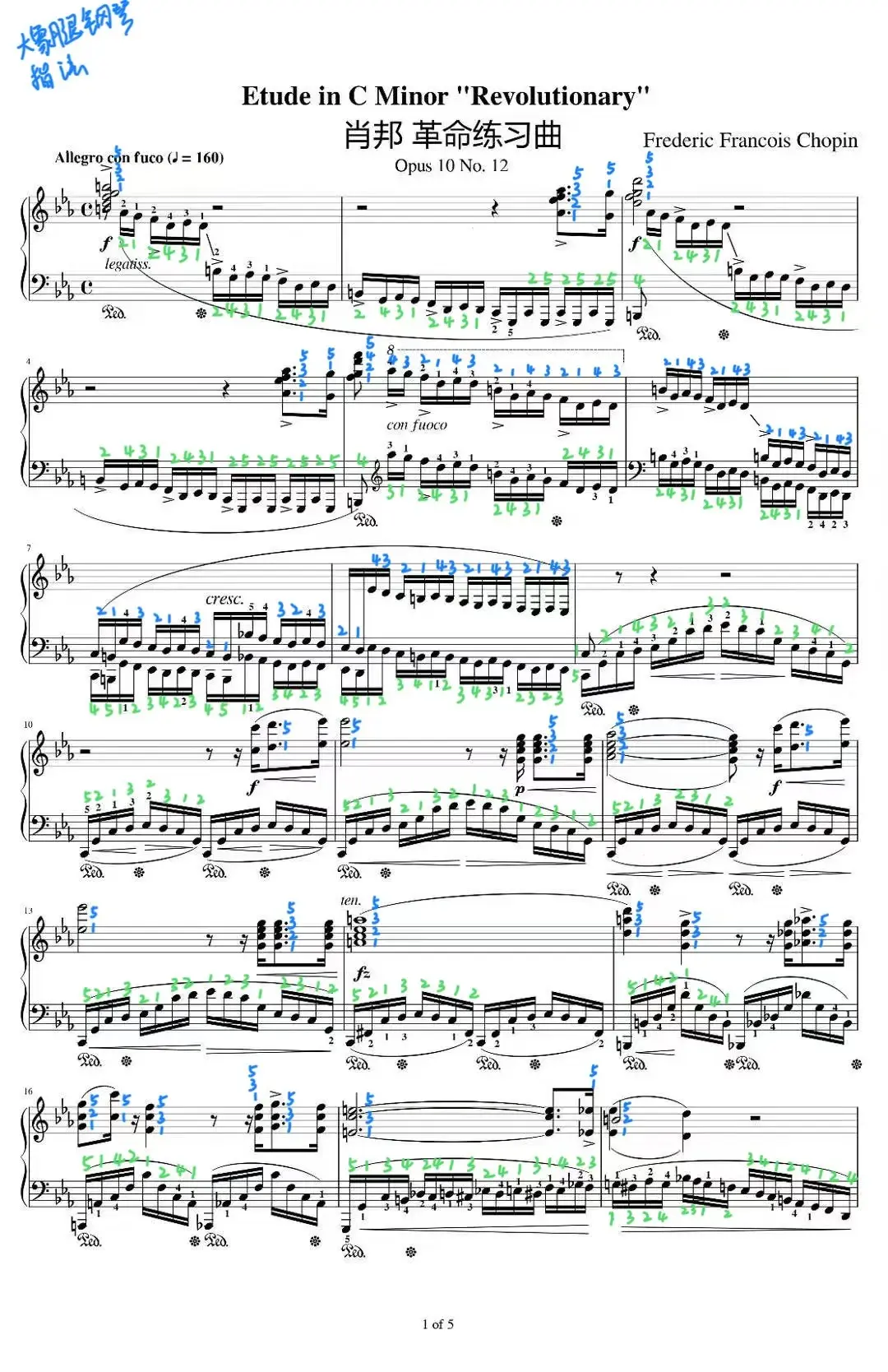 革命（肖邦练习曲op.10 nr 12)  革命（肖邦练习曲op.10...